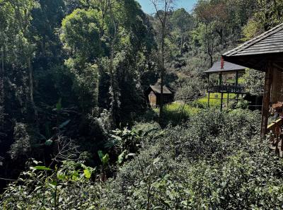 China 2025 Spring 1 31