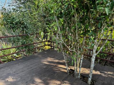 China 2025 Spring 1 72