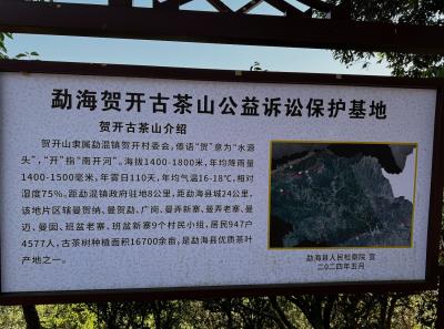 China 2025 Spring 1 86