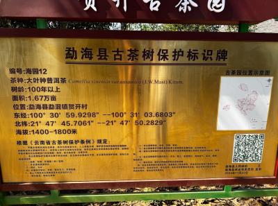 China 2025 Spring 1 87