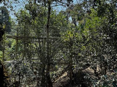 China 2025 Spring 1 93