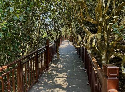 China 2025 Spring 1 94