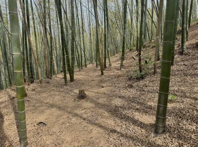 China 2025 Spring 2 10