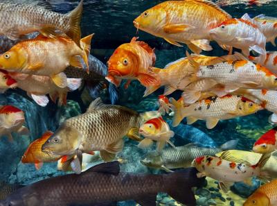 China 2025 Spring 2 2