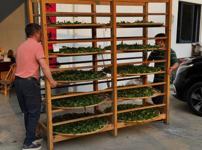 China 2025 Spring 2 48