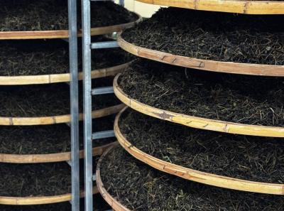 China 2025 Spring 2 52