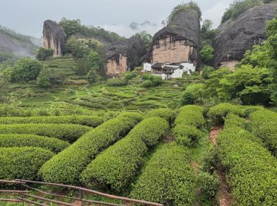 China 2025 Spring 2 64