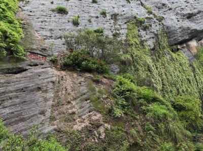 China 2025 Spring 2 65