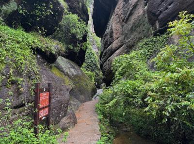 China 2025 Spring 2 71