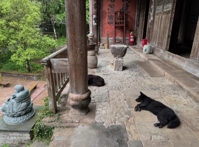 China 2025 Spring 2 72