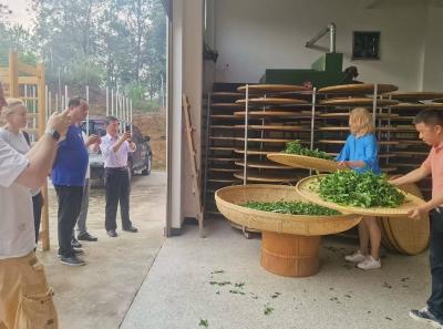 China 2025 Spring 2 78