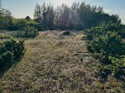 Osmussaar Inipi 2025 07 11