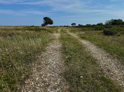 Osmussaar Inipi 2025 07 16