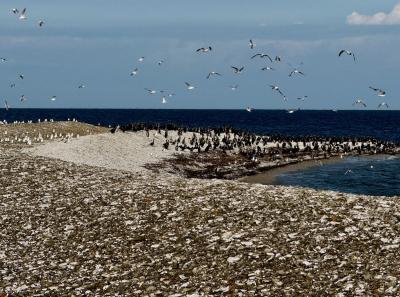 Osmussaar Inipi 2025 07 20