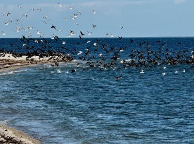 Osmussaar Inipi 2025 07 21