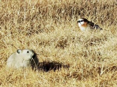 34019850 10156299216254326 4138755259520516096 N 30323559878 O