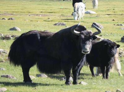 34069006 10156299217169326 4615139936637550592 N 44190500741 O