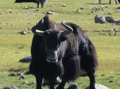 34095099 10156299217529326 8706899483616608256 N 30323559638 O