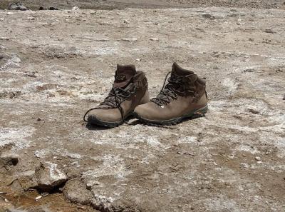 Imag0797 42731968454 O