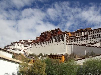 Img 1984 43447855671 O