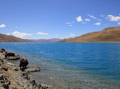 Img 2078 28561404327 O