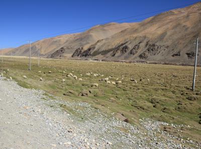 Img 2119 29577432448 O