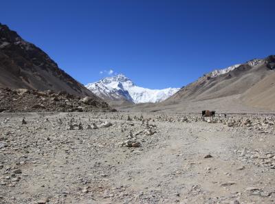 Img 2140 29577442758 O