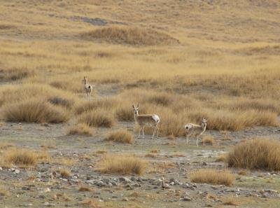 Img 2221 42732143114 O