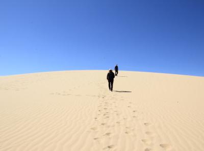 Img 2225 42543483755 O