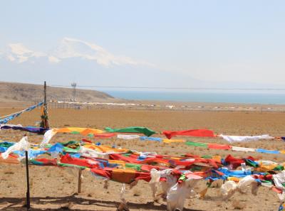 Img 2249 29577469288 O