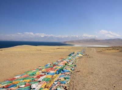 Img 2271 42543501825 O