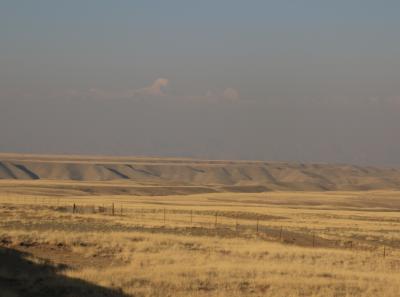 Img 2318 42543522985 O