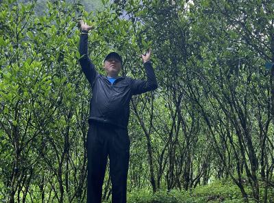 China 2023 Apr 100 52872389471 O