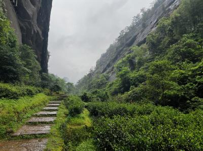 China 2023 Apr 102 52871812427 O