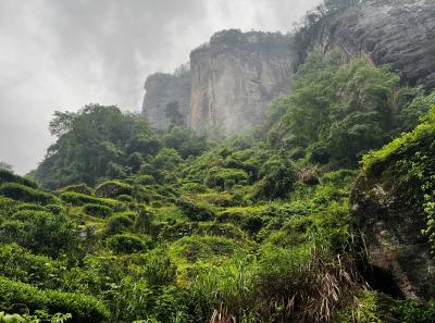 China 2023 Apr 103 52872389931 O