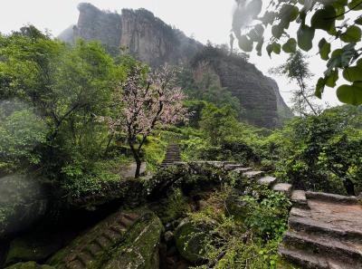 China 2023 Apr 105 52872390146 O