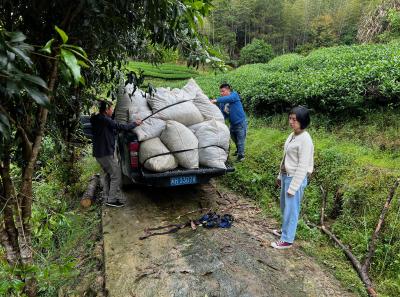 China 2023 Apr 132 52871816977 O