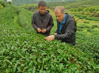 China 2023 Apr 151 52872780075 O