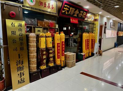 China 2023 Apr 155 52871819187 O