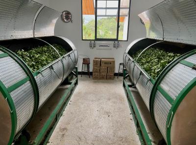 China 2023 Apr 38 52872820068 O