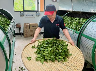 China 2023 Apr 46 52872820998 O