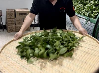 China 2023 Apr 57 52872821188 O