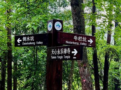 China 2023 Apr 73 52872558114 O