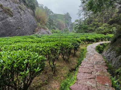 China 2023 Apr 74 52872824468 O