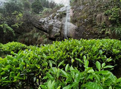 China 2023 Apr 81 52872825508 O