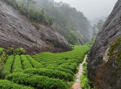 China 2023 Apr 84 52871808837 O