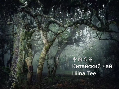 Чайный каталог