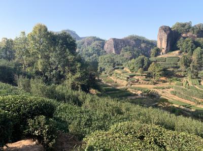 Img 0837 49533434533 O