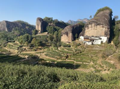 Img 0990 49533428728 O