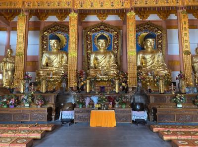 Img 1012 49533430558 O